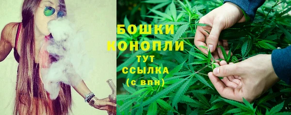 ECSTASY Армянск