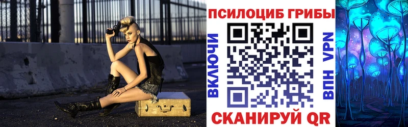 Галлюциногенные грибы Psilocybine cubensis  Спасск-Рязанский 